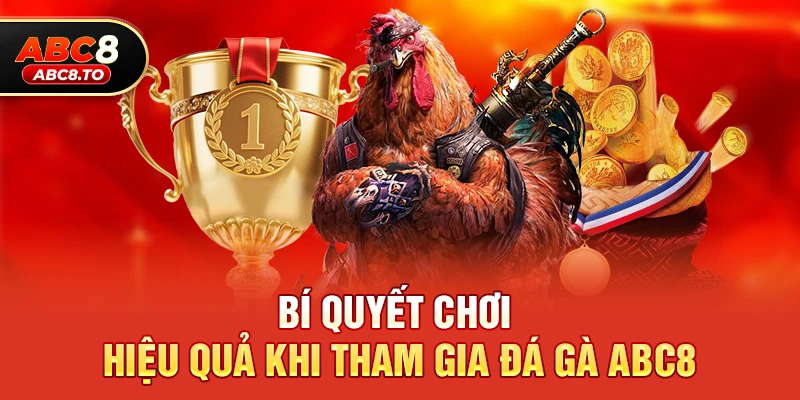 Đá gà abc8 2 Bí quyết chơi hiệu quả khi tham gia Đá gà abc8