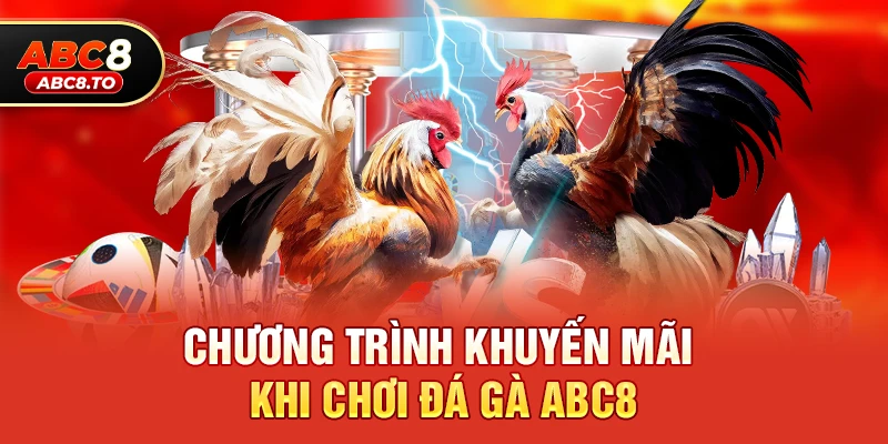 Đá gà abc8 3 Chương trình khuyến mãi khi chơi Đá gà abc8